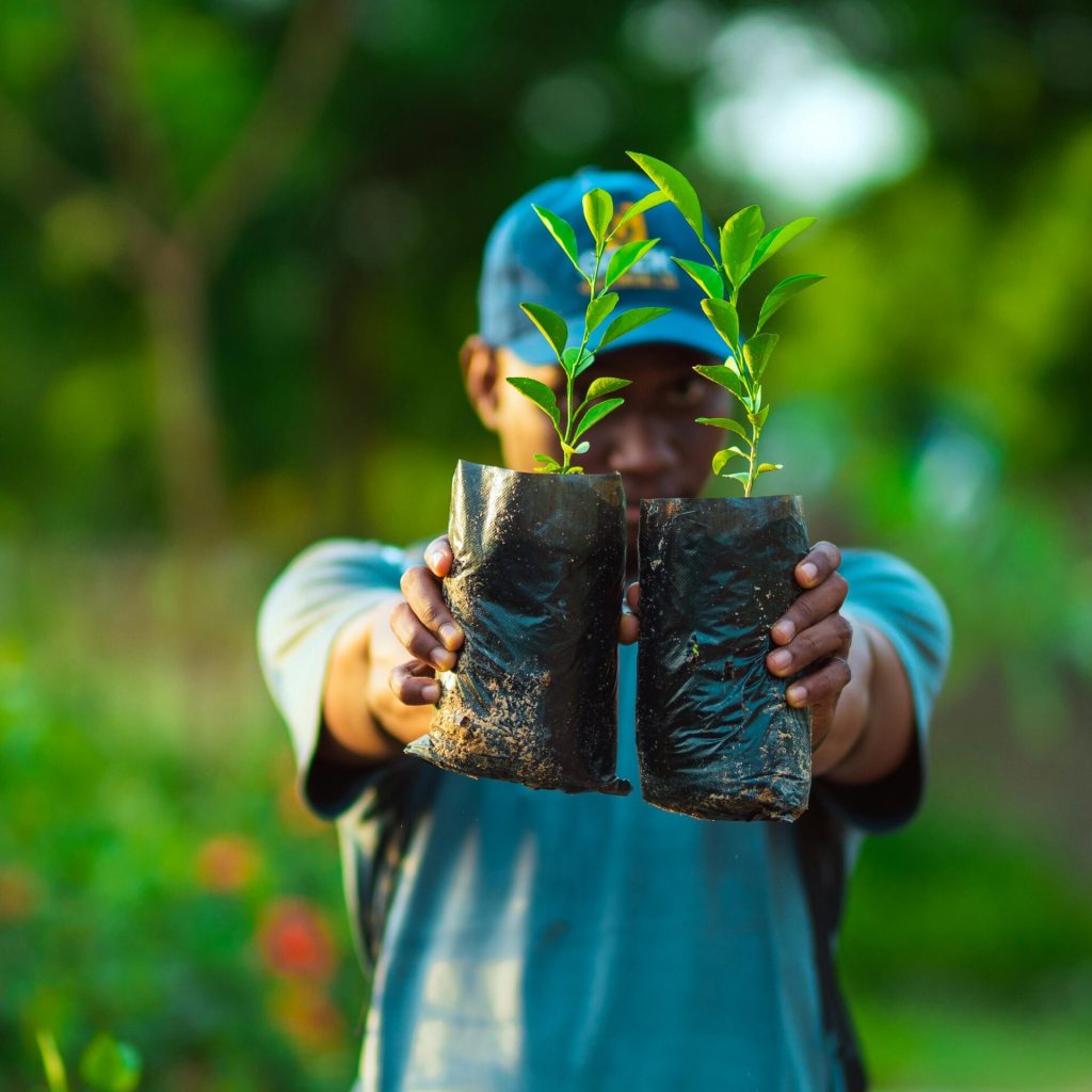 pexels-photo-17916511-17916511 African man in Abuja holding saplings in a garden, promoting greenery and growth.