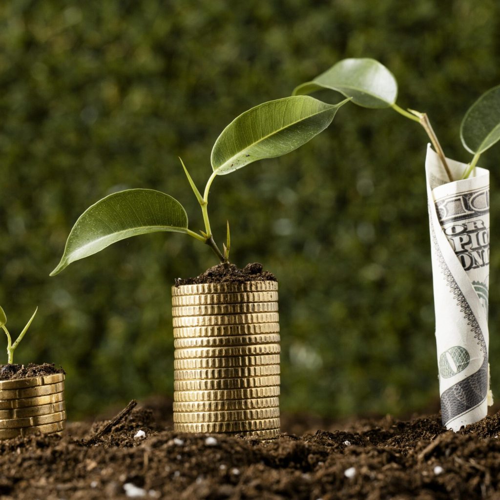 plants-with-coins-stacked-dirt-banknote plants-with-coins-stacked-dirt-banknote